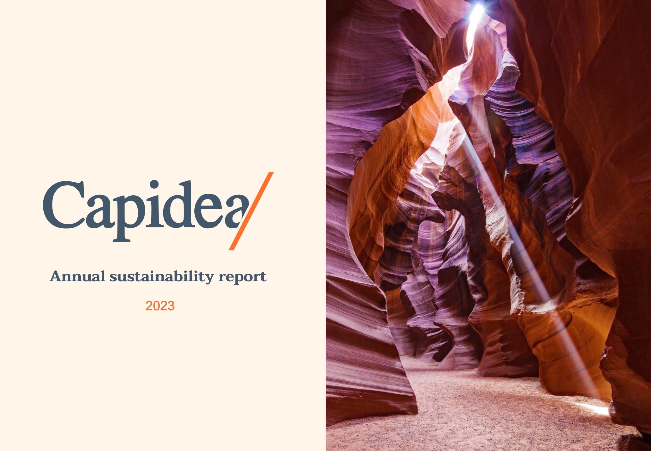 capidea-sustainability-report-cover-2